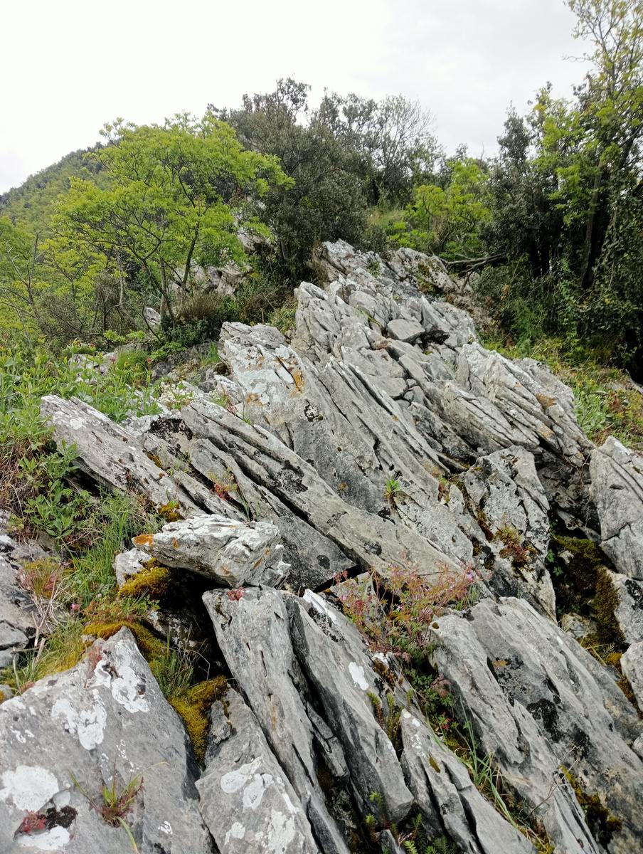 Monte costa, Monte Anchiana e Chiesa di Santa Barbara da Seravezza - foto 10