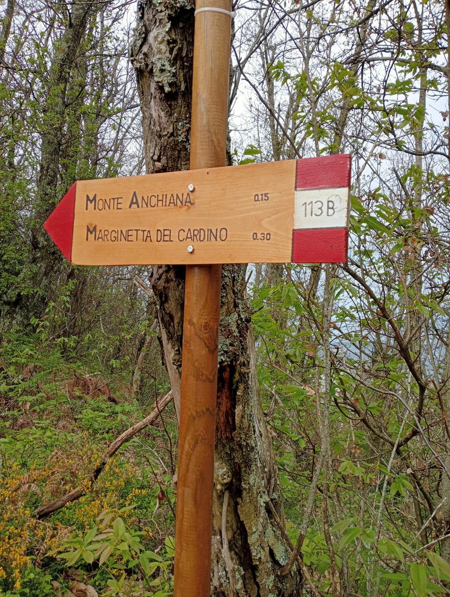 Monte costa, Monte Anchiana e Chiesa di Santa Barbara da Seravezza - foto 13