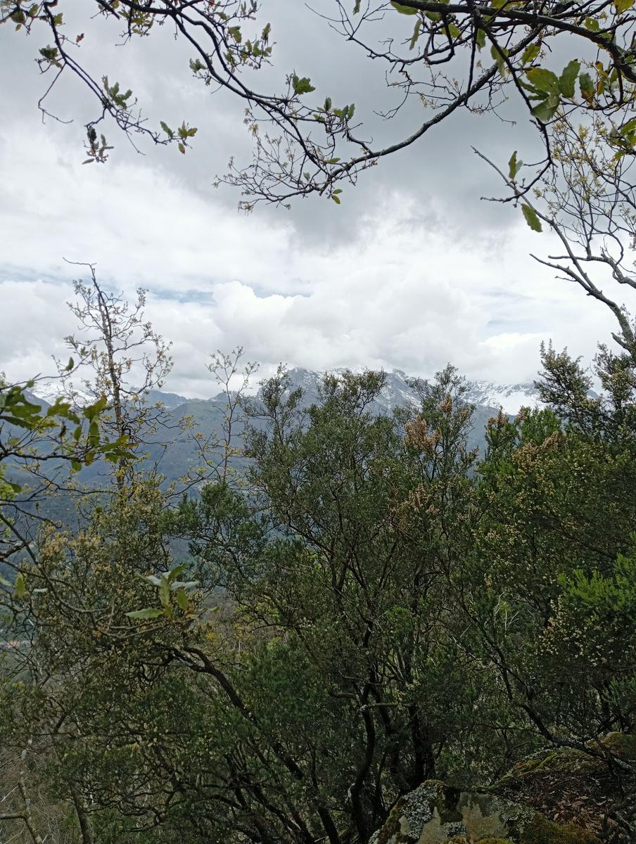 Monte costa, Monte Anchiana e Chiesa di Santa Barbara da Seravezza - foto 15