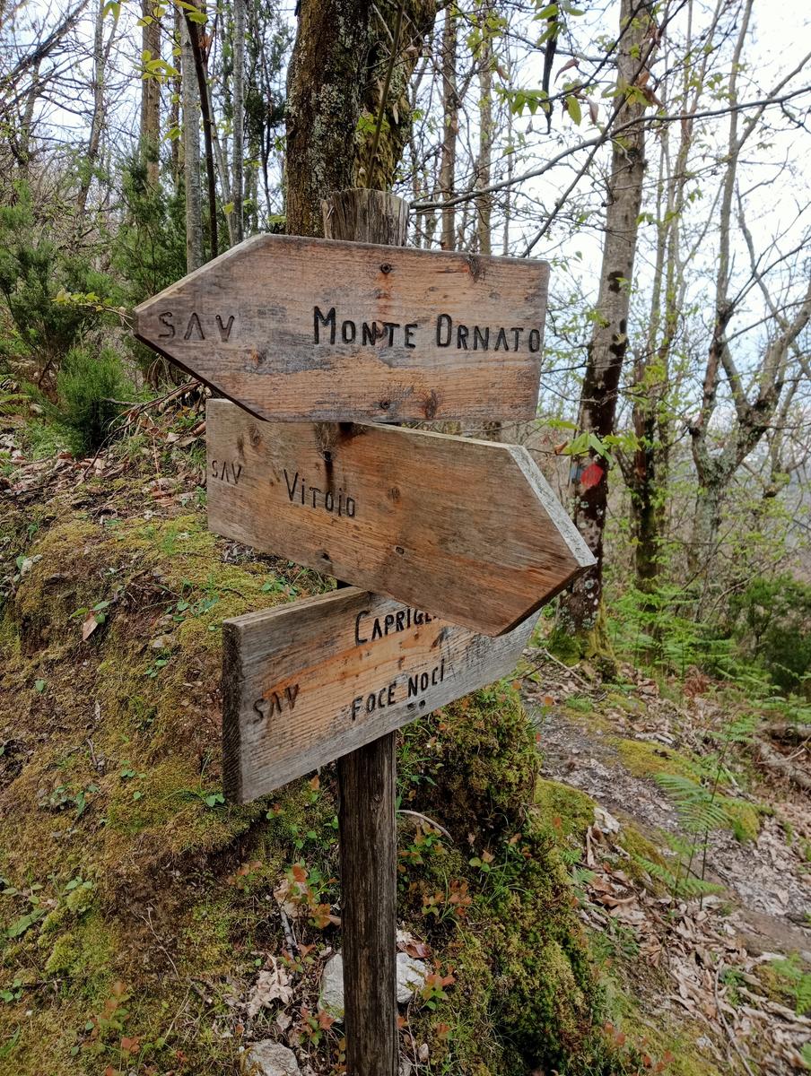 Monte costa, Monte Anchiana e Chiesa di Santa Barbara da Seravezza - foto 19