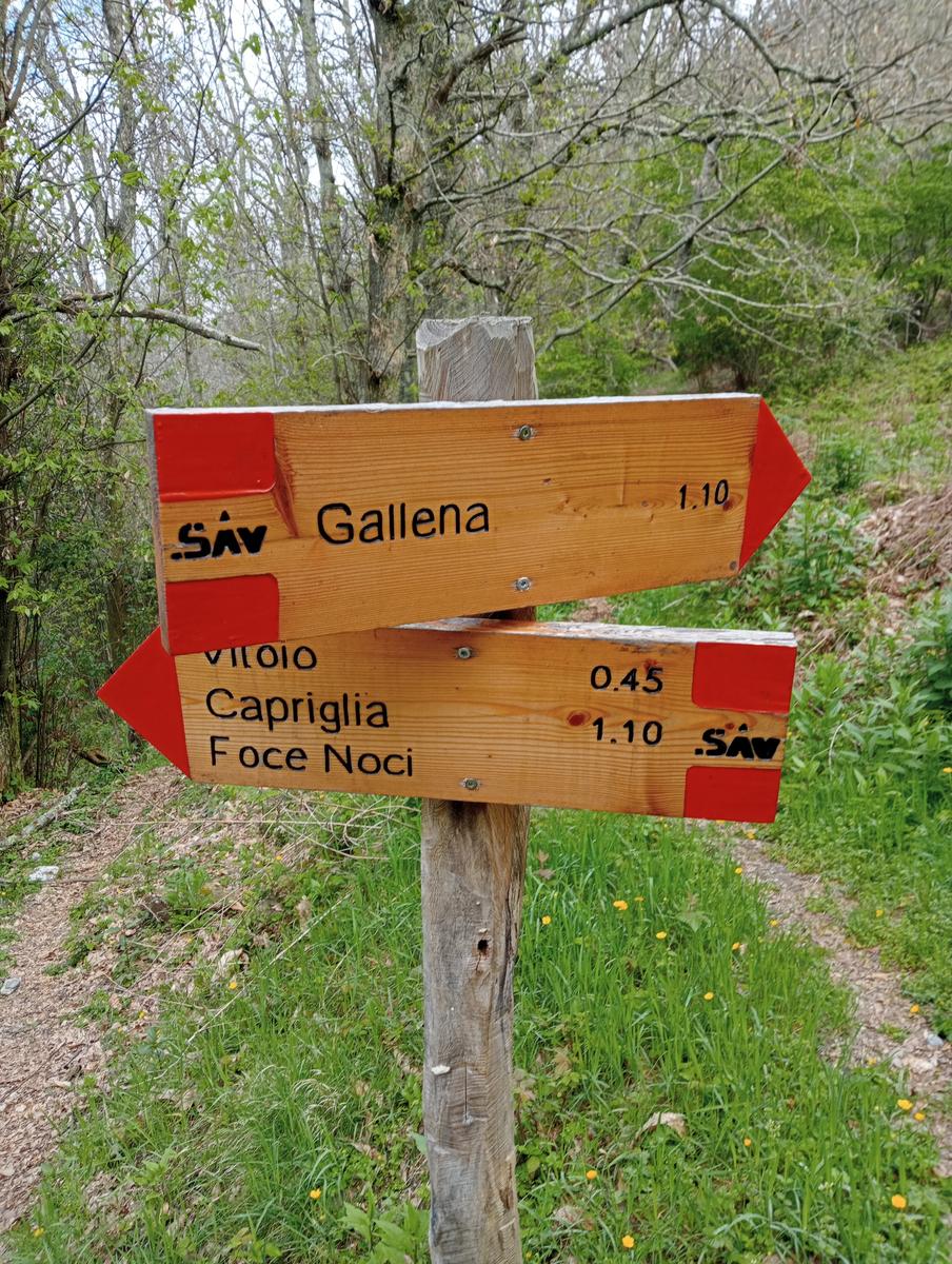 Monte costa, Monte Anchiana e Chiesa di Santa Barbara da Seravezza - foto 20