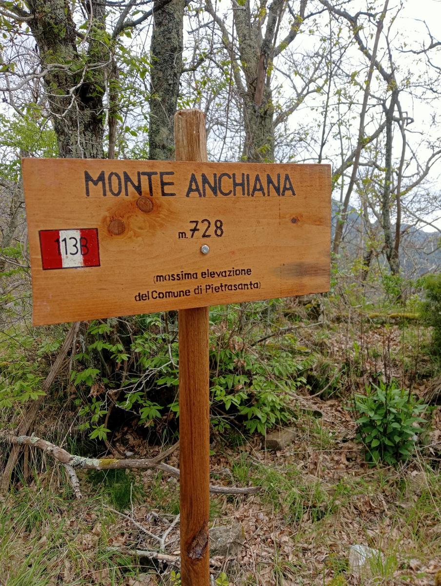 Monte costa, Monte Anchiana e Chiesa di Santa Barbara da Seravezza - foto 21