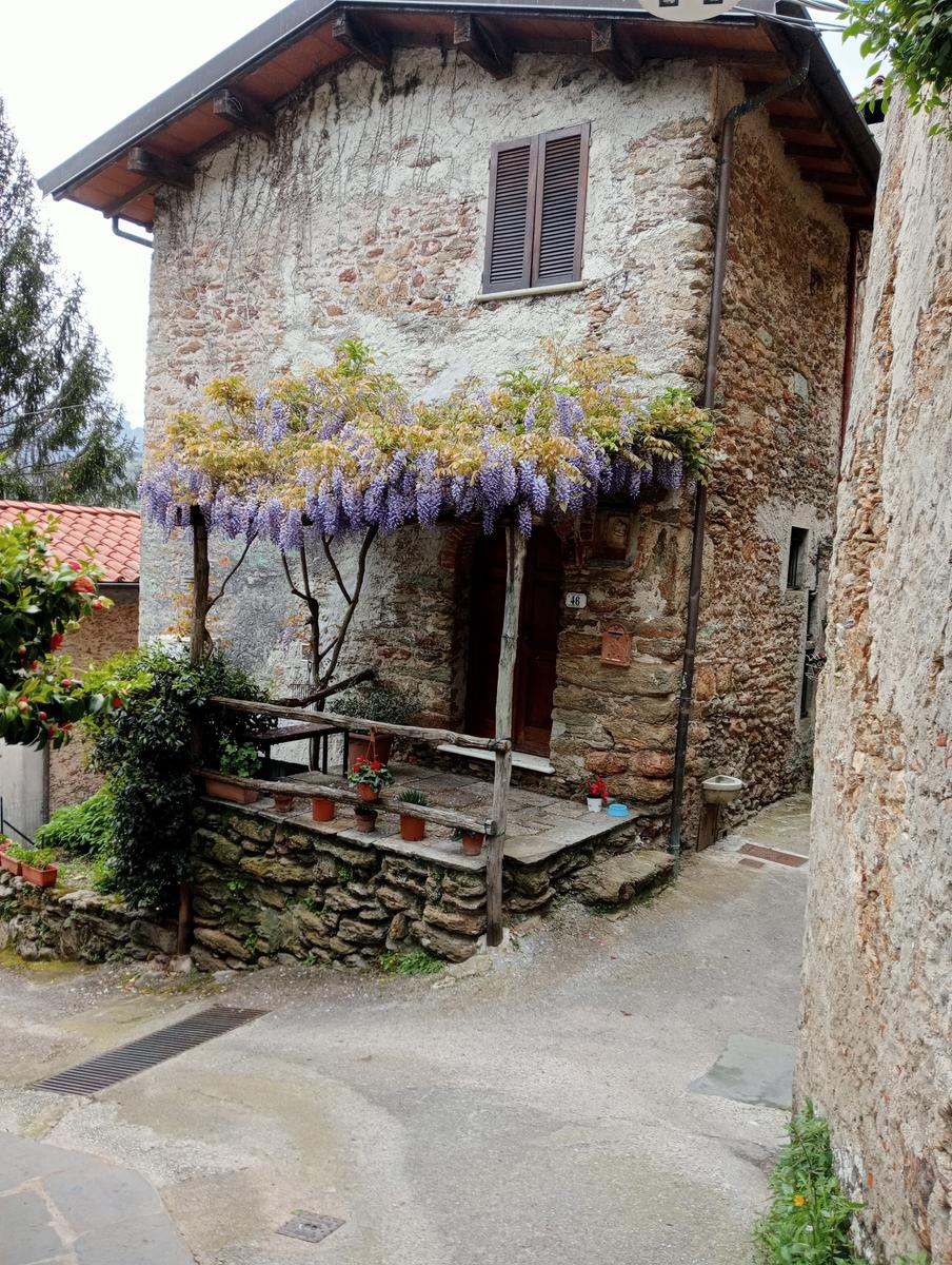 Monte costa, Monte Anchiana e Chiesa di Santa Barbara da Seravezza - foto 22