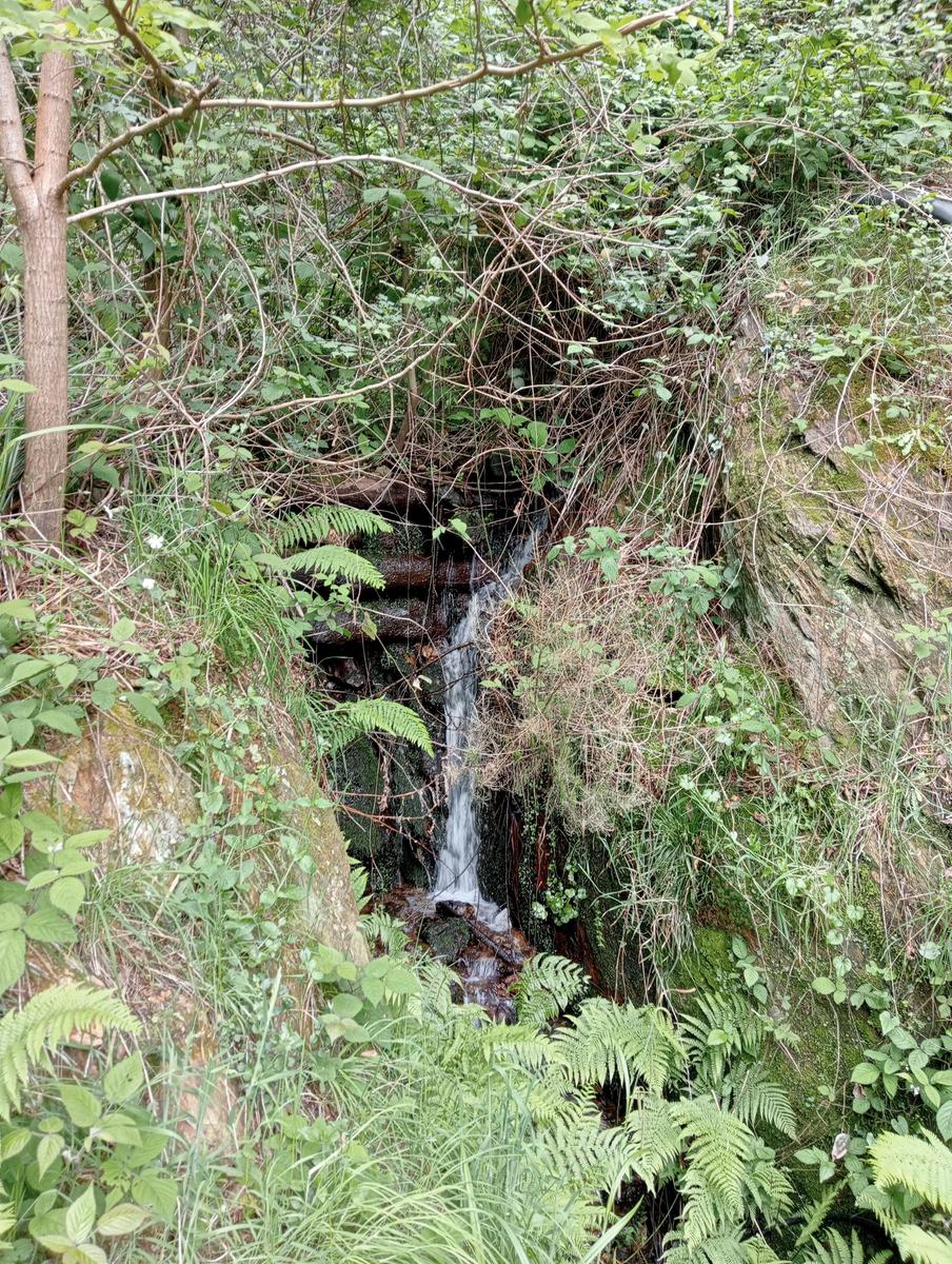 Monte costa, Monte Anchiana e Chiesa di Santa Barbara da Seravezza - foto 23
