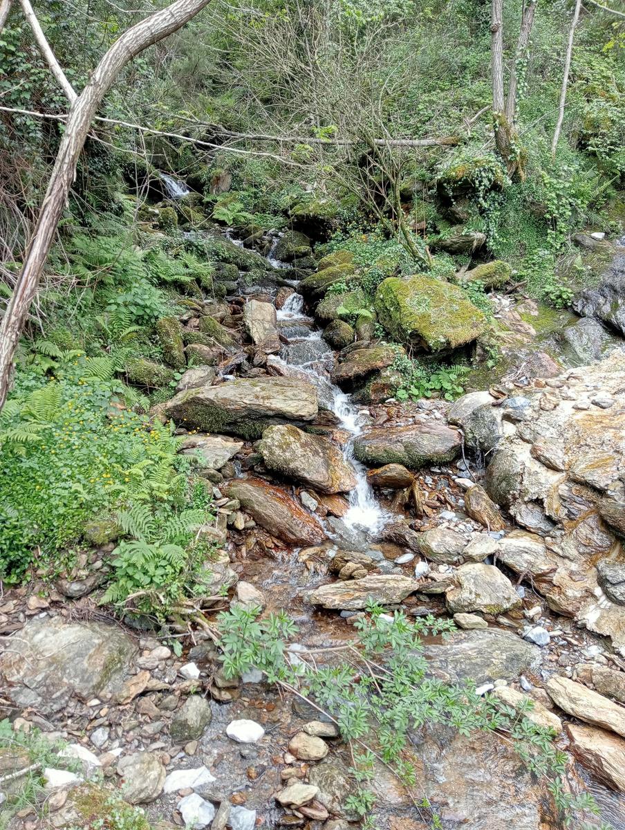 Monte costa, Monte Anchiana e Chiesa di Santa Barbara da Seravezza - foto 24