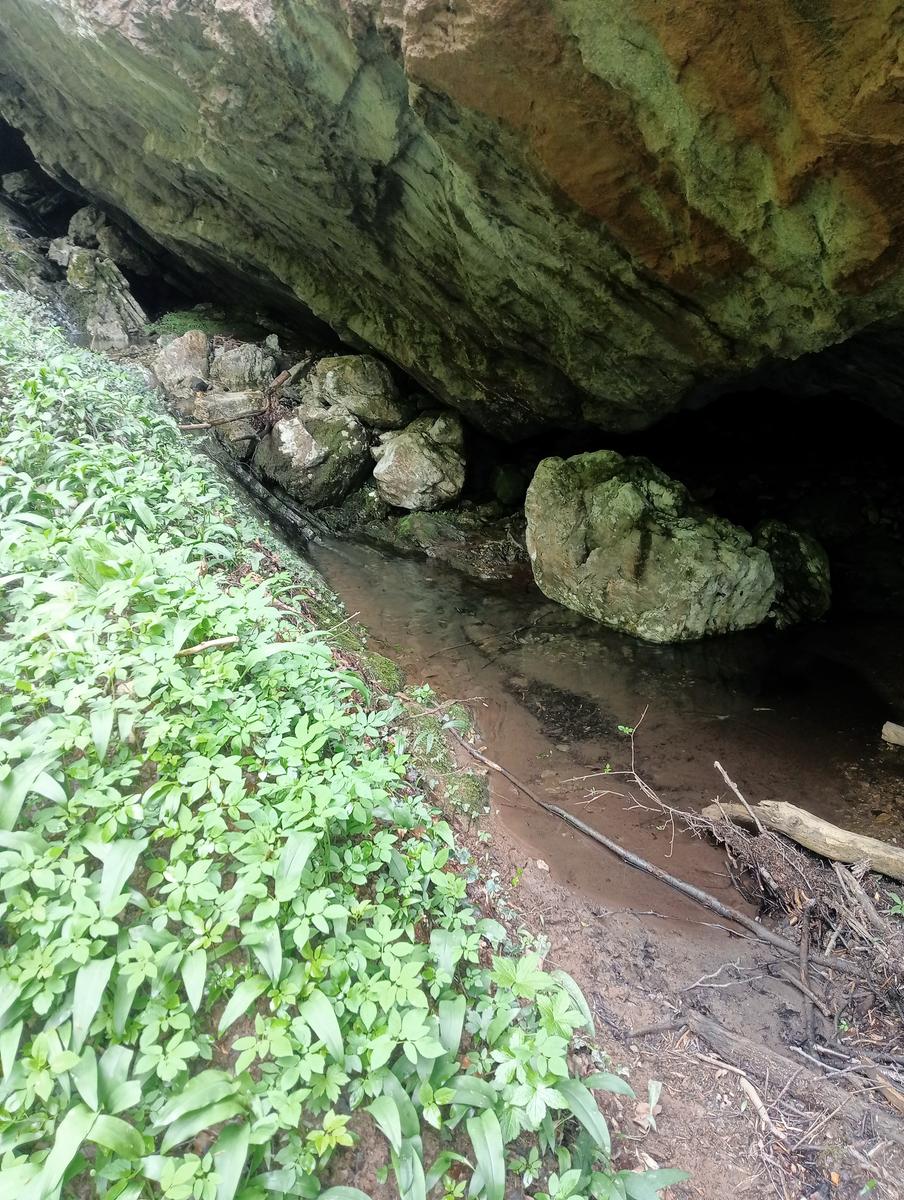 Candalla - Casoli - Ciurlaglia - Grotta del Tmbugione - Monte Penna - foto 13