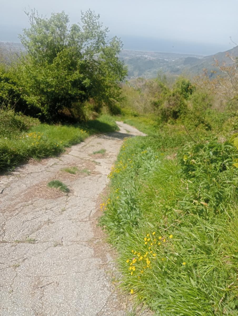 Candalla - Casoli - Ciurlaglia - Grotta del Tmbugione - Monte Penna - foto 23