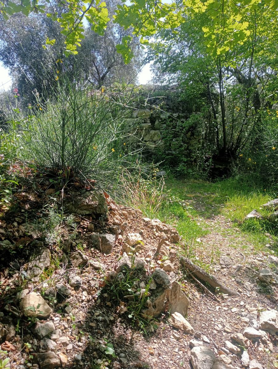Candalla - Casoli - Ciurlaglia - Grotta del Tmbugione - Monte Penna - foto 25