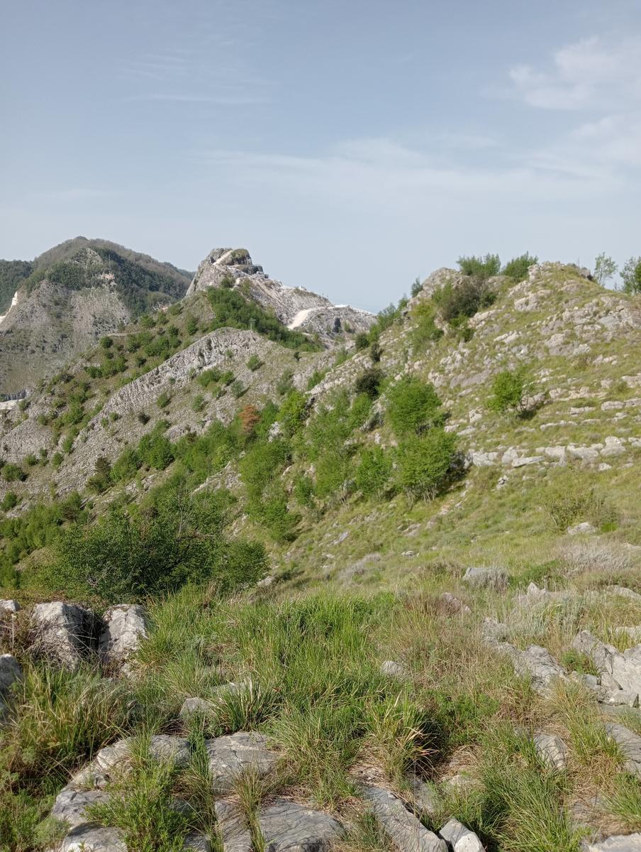 Colonnata Cima di Gioia Monte Tamburone Cima d'uomo - foto 13