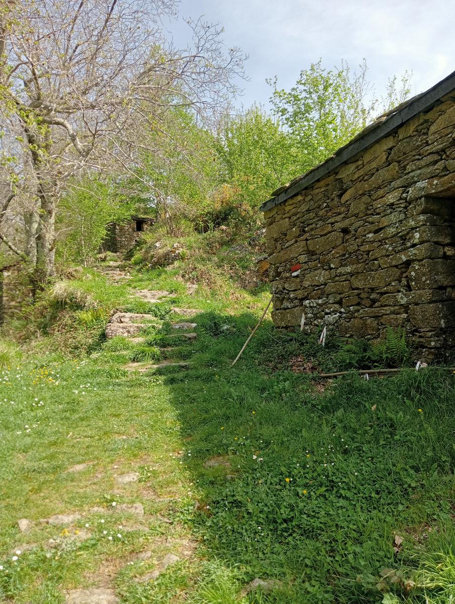 Colonnata Cima di Gioia Monte Tamburone Cima d'uomo - foto 15
