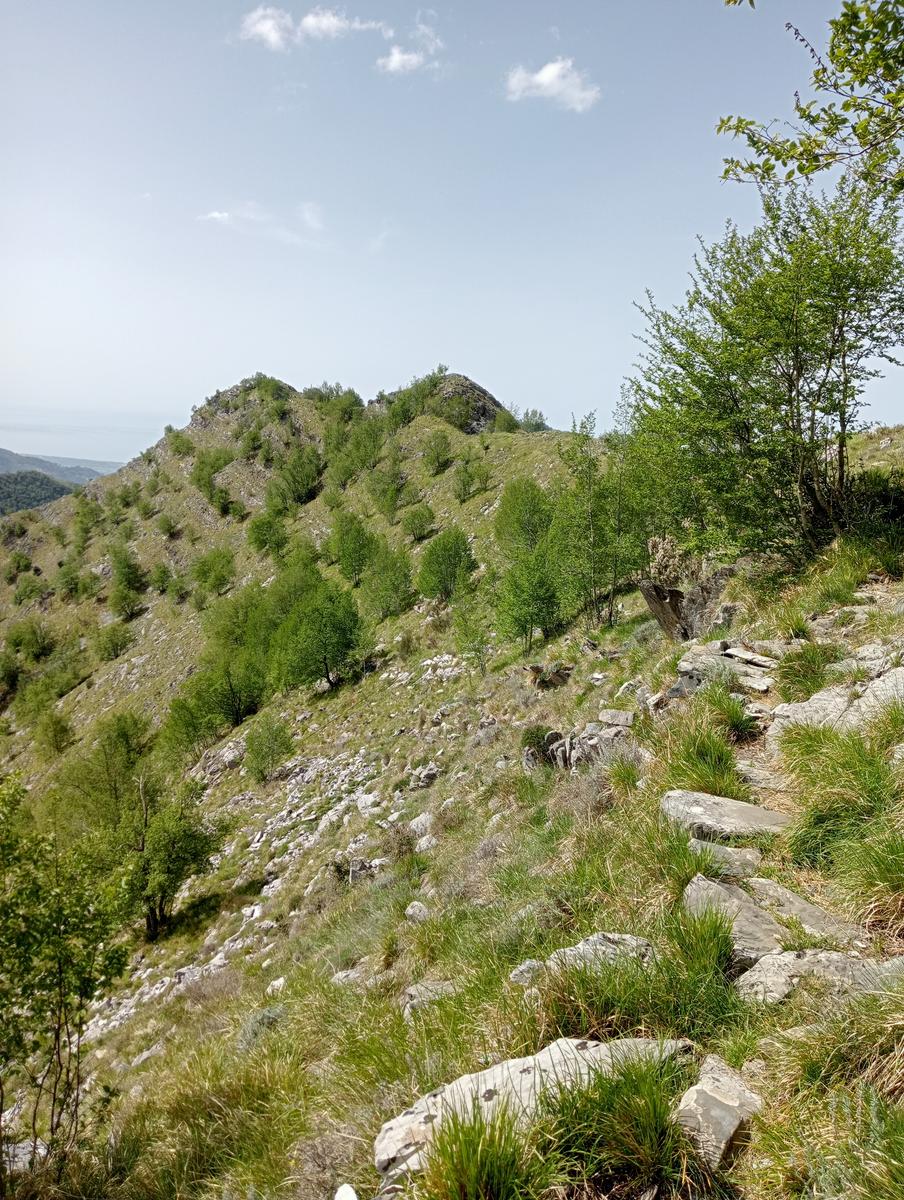 Colonnata Cima di Gioia Monte Tamburone Cima d'uomo - foto 16