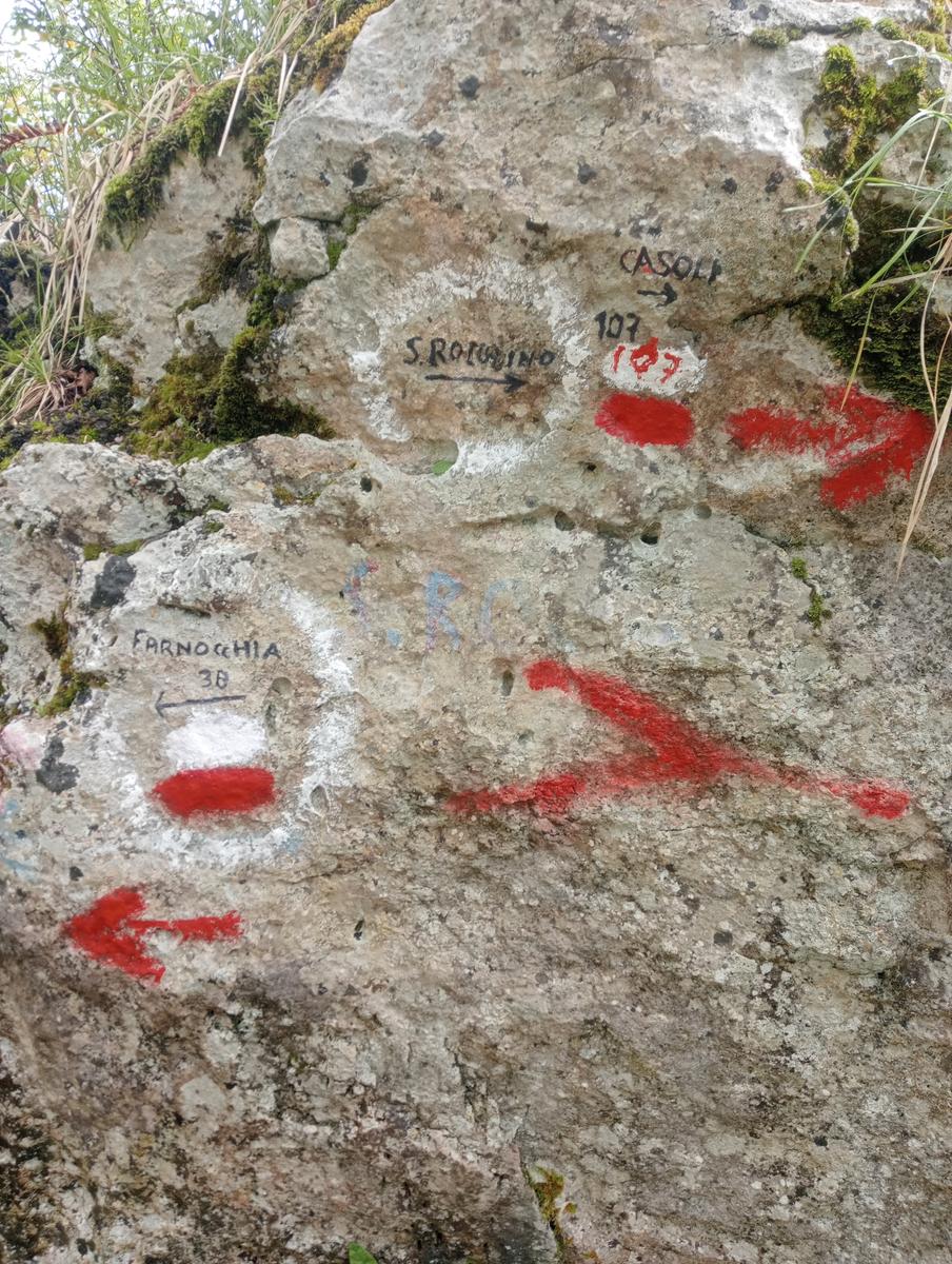 Gevoli da Casoli con deviazione sul Gabberi - foto 13