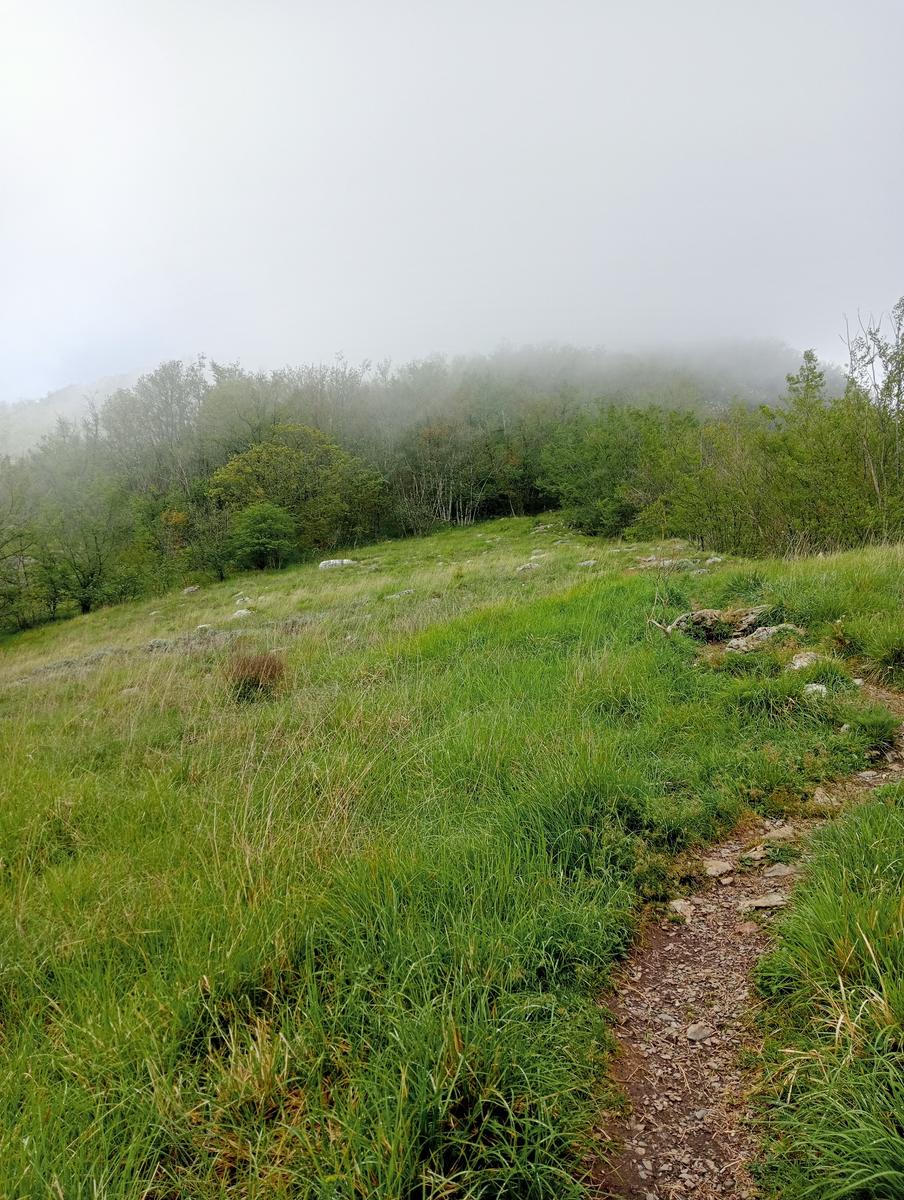 Gevoli da Casoli con deviazione sul Gabberi - foto 14