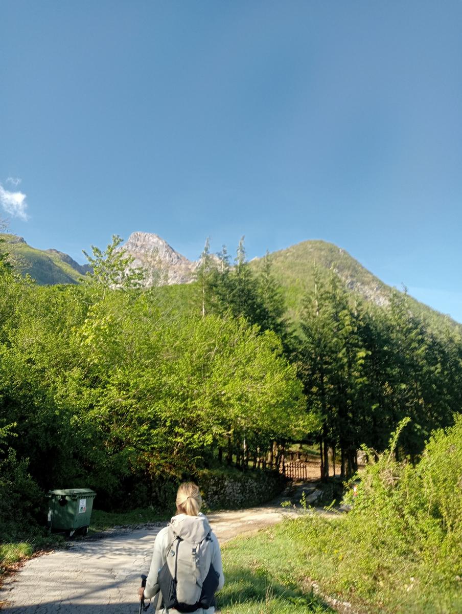 Monte Rovaio, Monte Bovario e Monte Nome del Gesù dall' Alpe di San'Antonio