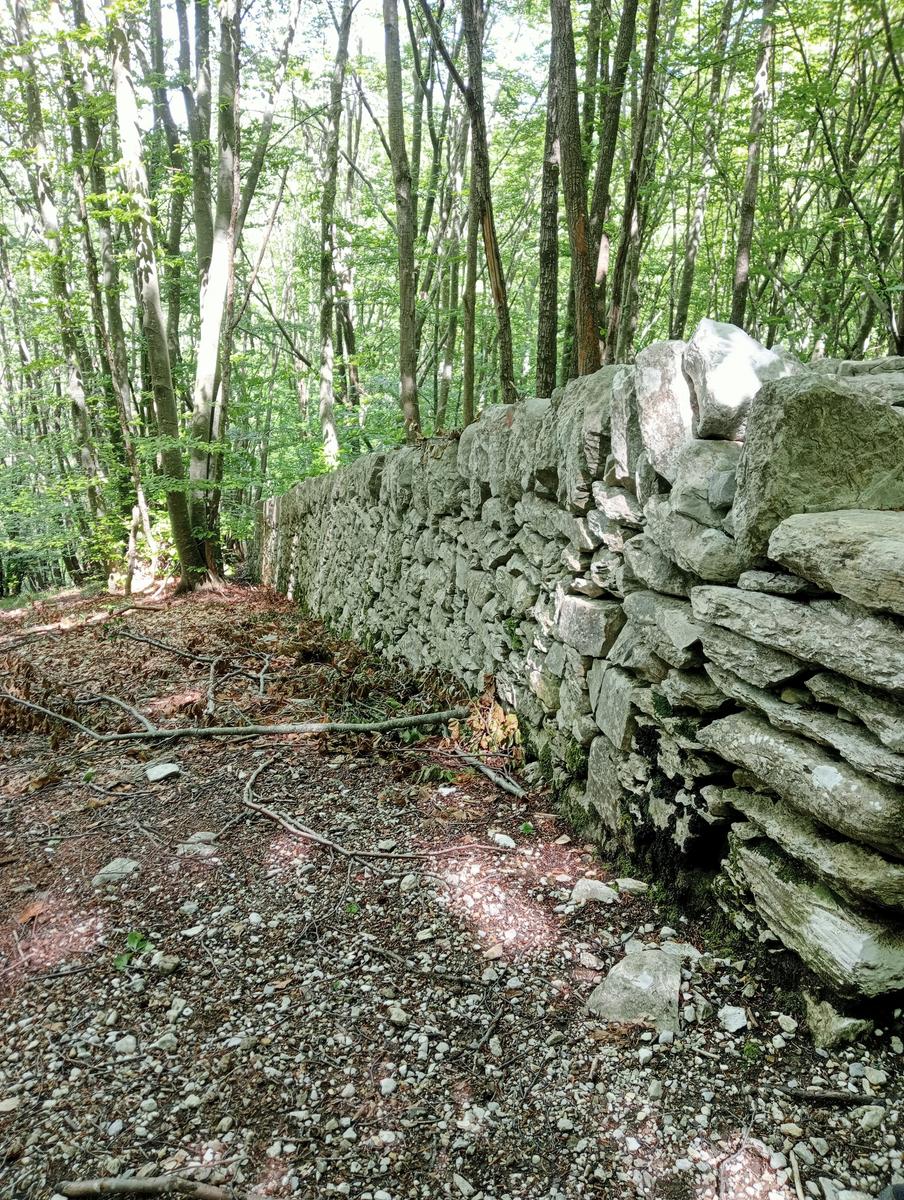 Monte Rovaio, Monte Bovario e Monte Nome del Gesù dall' Alpe di San'Antonio - foto 4