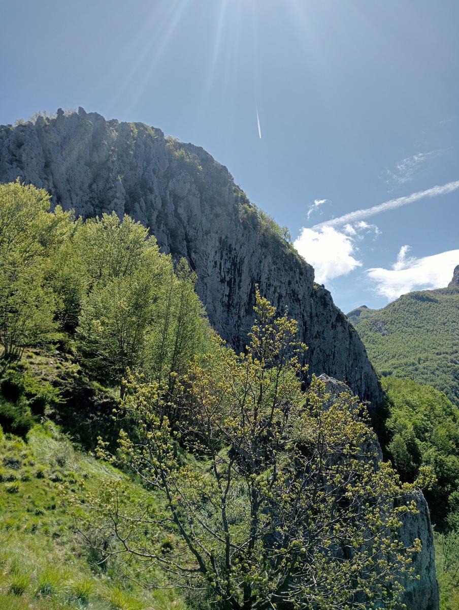Monte Rovaio, Monte Bovario e Monte Nome del Gesù dall' Alpe di San'Antonio - foto 5