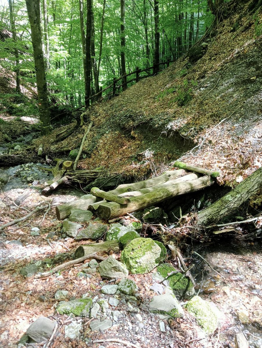Monte Rovaio, Monte Bovario e Monte Nome del Gesù dall' Alpe di San'Antonio - foto 9