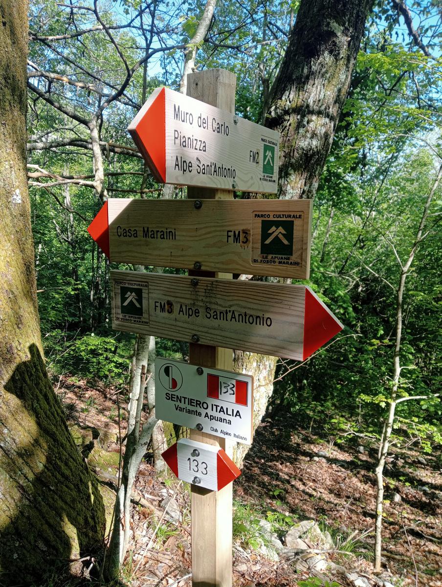 Monte Rovaio, Monte Bovario e Monte Nome del Gesù dall' Alpe di San'Antonio - foto 13