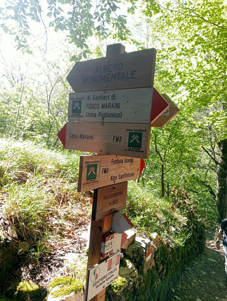 Monte Rovaio, Monte Bovario e Monte Nome del Gesù dall' Alpe di San'Antonio - foto 14