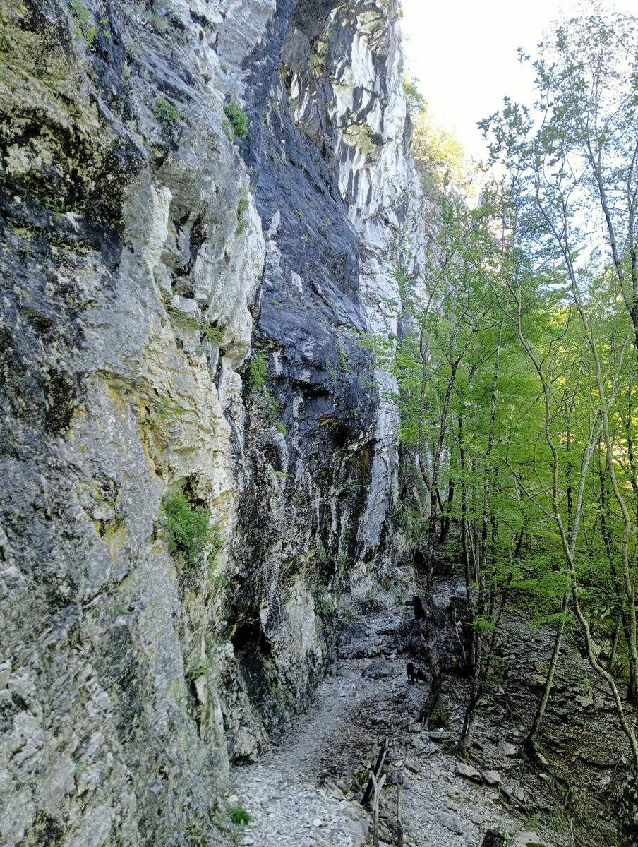 Monte Rovaio, Monte Bovario e Monte Nome del Gesù dall' Alpe di San'Antonio - foto 15