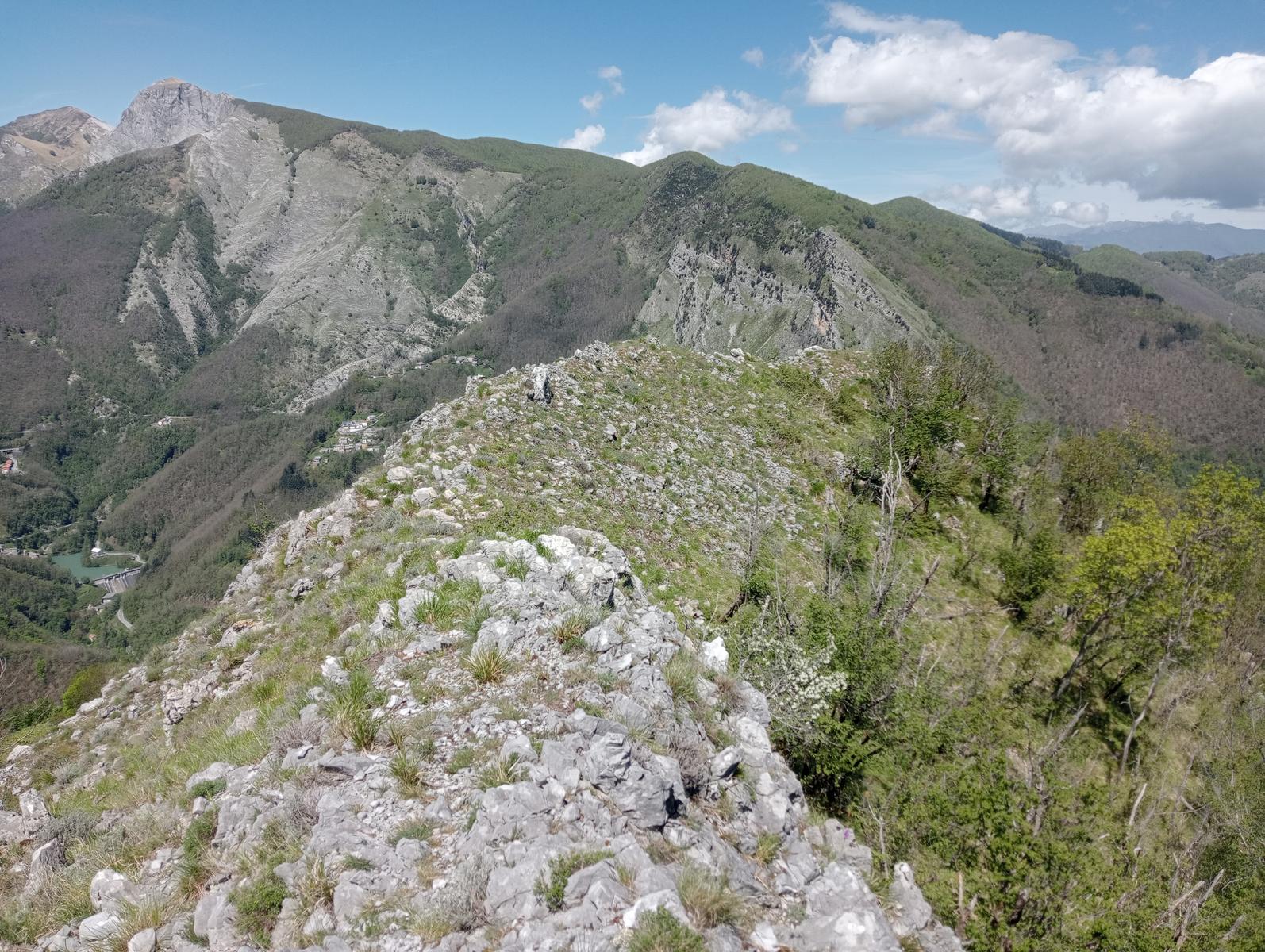 Monte Rovaio, Monte Bovario e Monte Nome del Gesù dall' Alpe di San'Antonio - foto 17