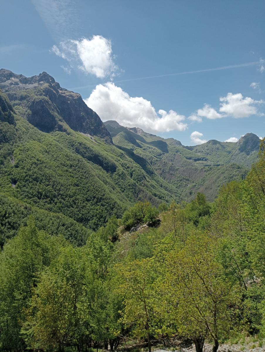 Monte Rovaio, Monte Bovario e Monte Nome del Gesù dall' Alpe di San'Antonio - foto 19