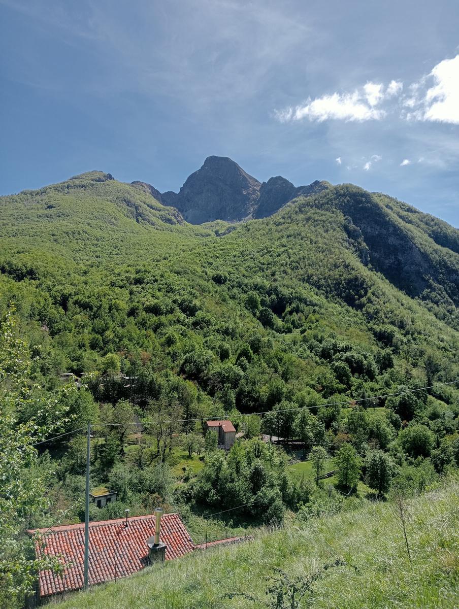 Monte Rovaio, Monte Bovario e Monte Nome del Gesù dall' Alpe di San'Antonio - foto 20