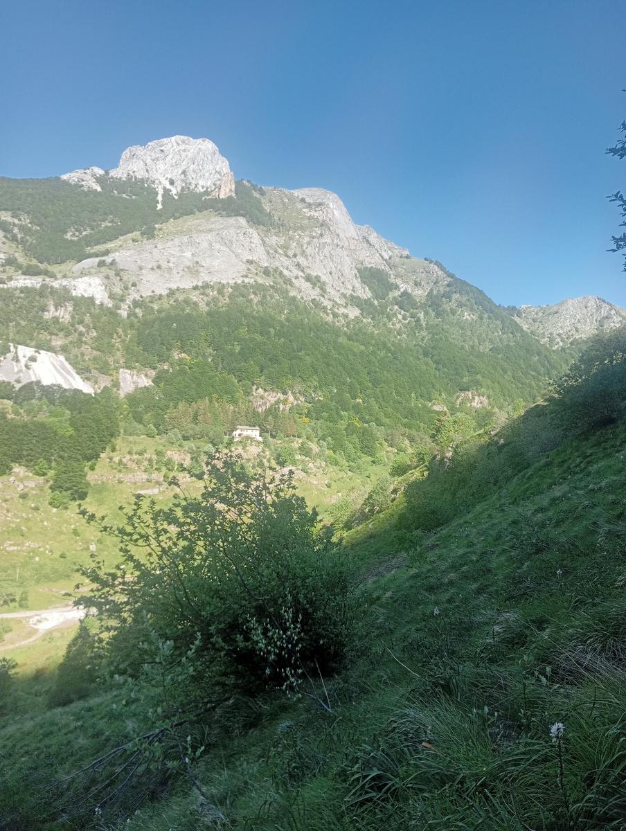 Pisanino dalla Bagola Bianca - foto 2