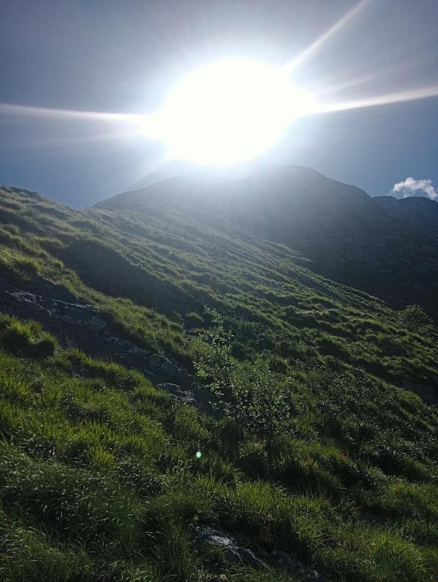 Pisanino dalla Bagola Bianca - foto 3