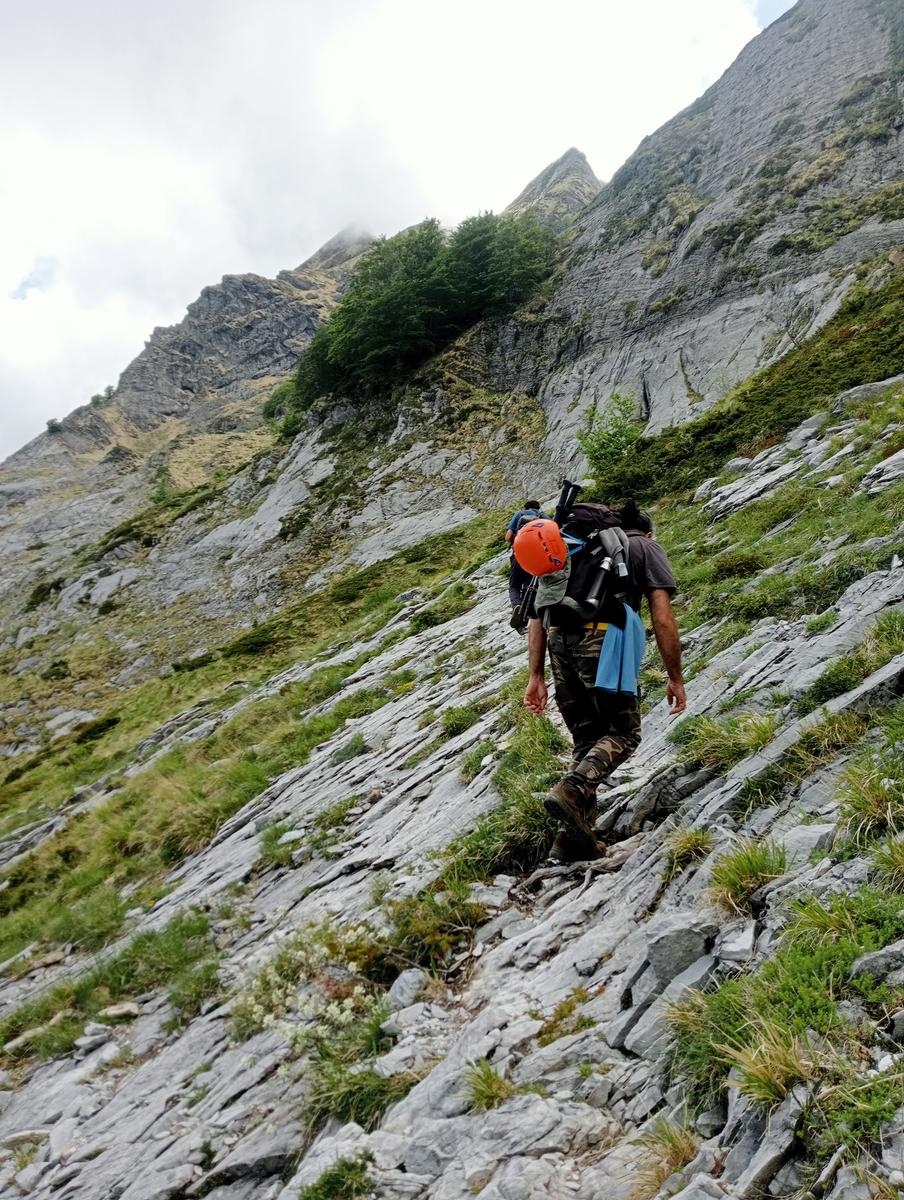 Pisanino dalla Bagola Bianca - foto 5