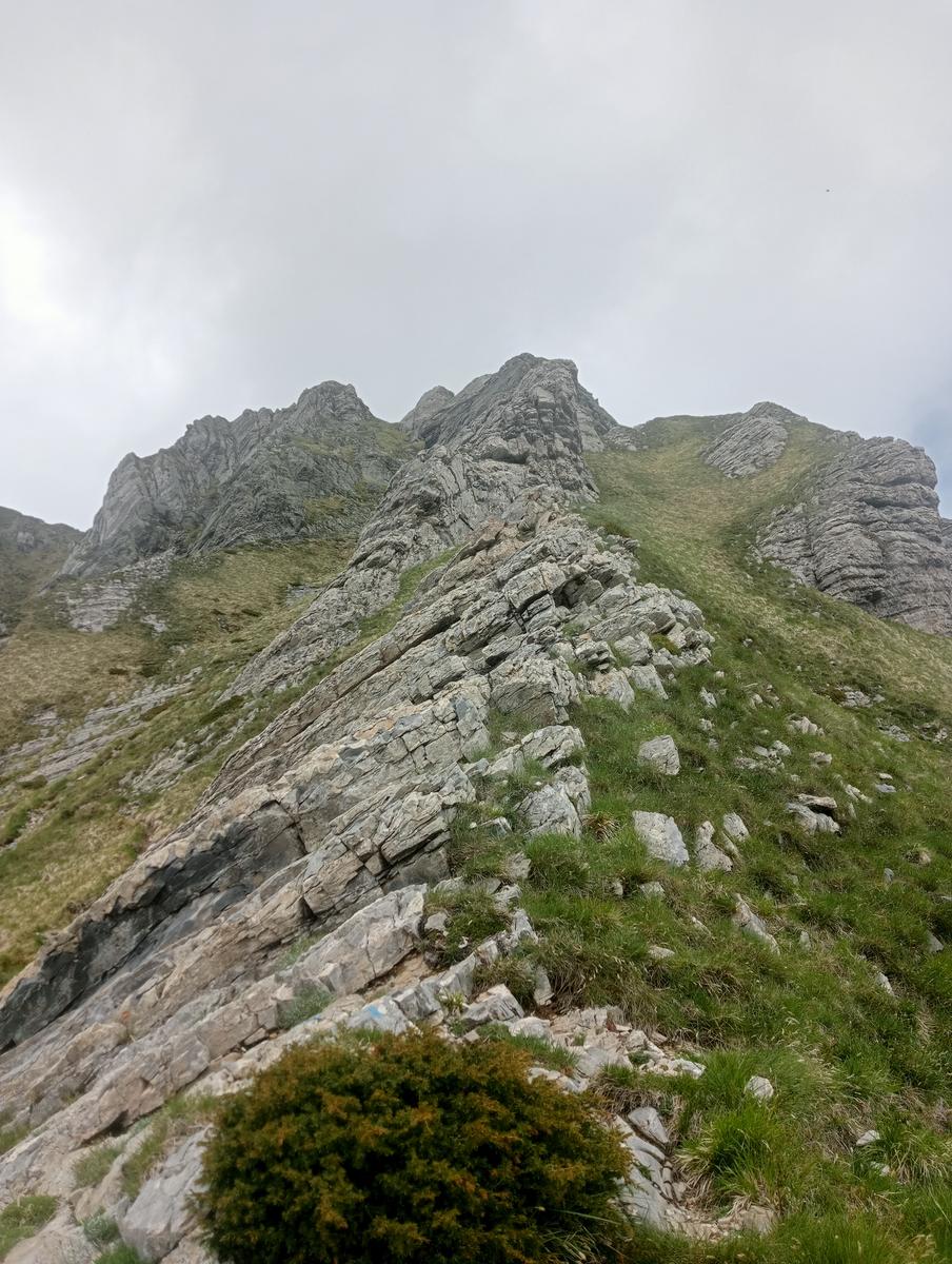 Pisanino dalla Bagola Bianca - foto 12