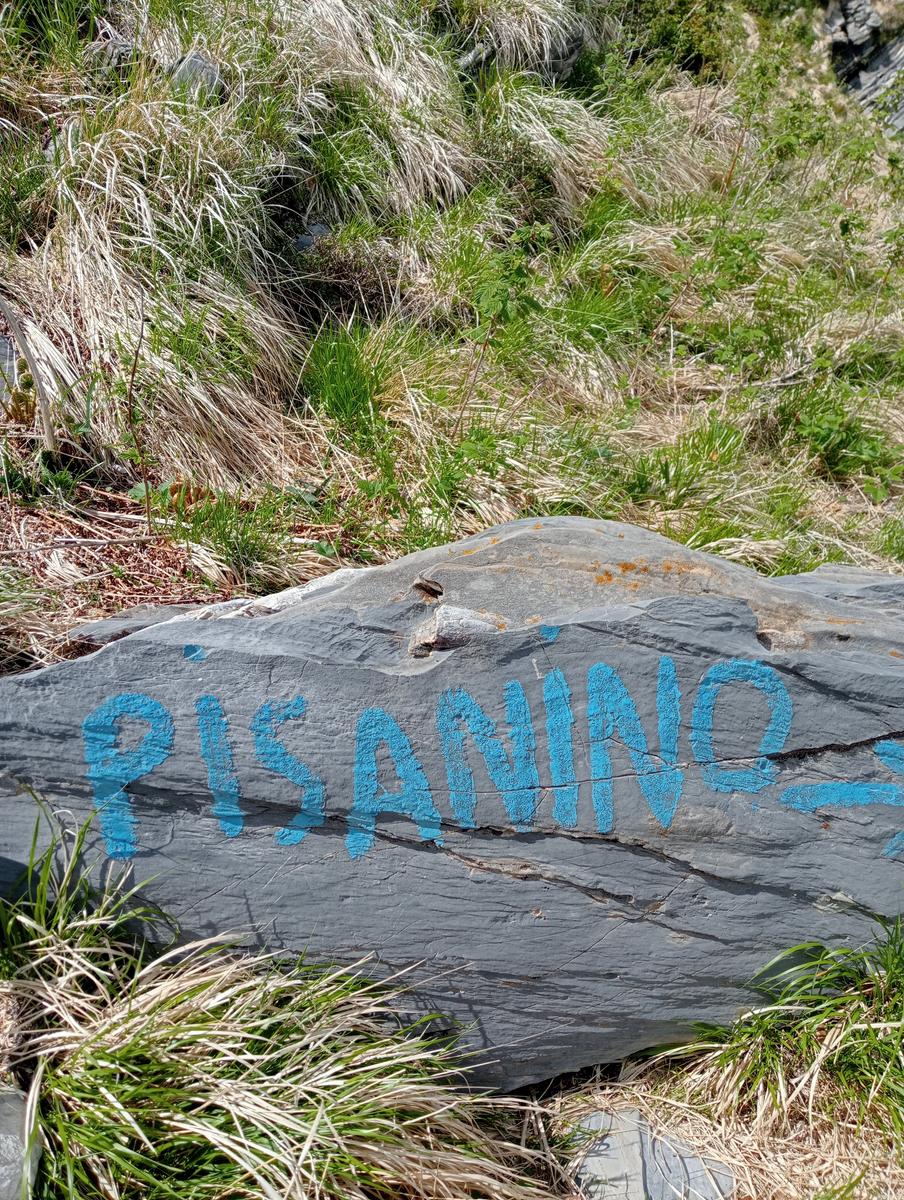 Pisanino dalla Bagola Bianca - foto 14