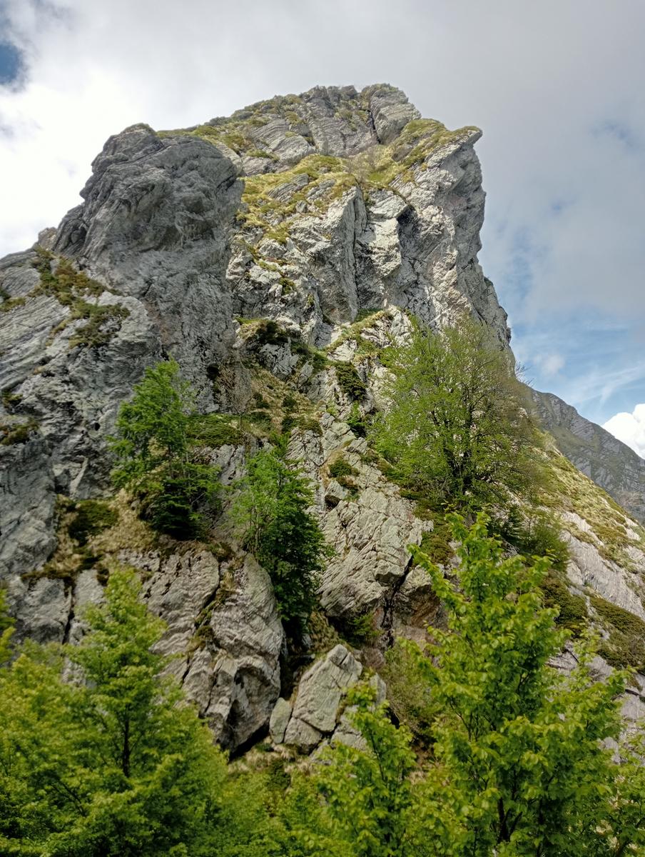 Pisanino dalla Bagola Bianca - foto 15