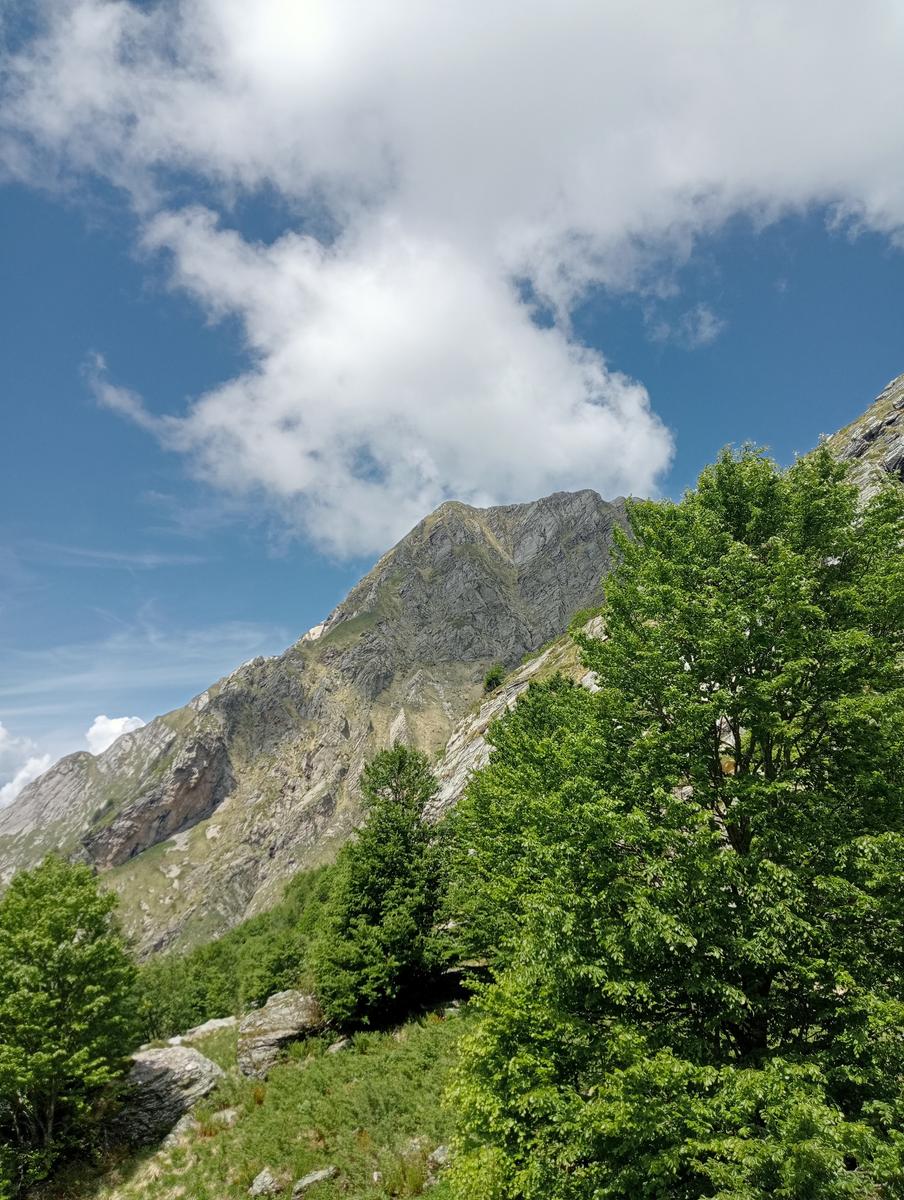 Pisanino dalla Bagola Bianca - foto 16