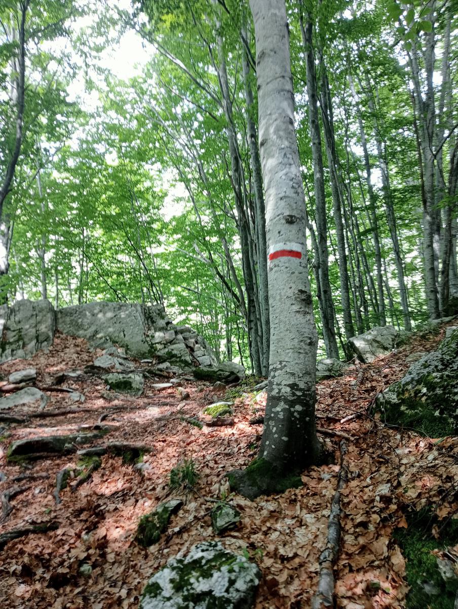 Pisanino dalla Bagola Bianca - foto 17