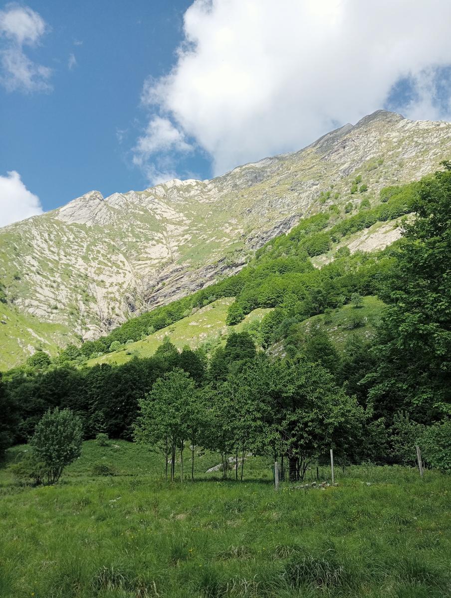 Pisanino dalla Bagola Bianca - foto 19