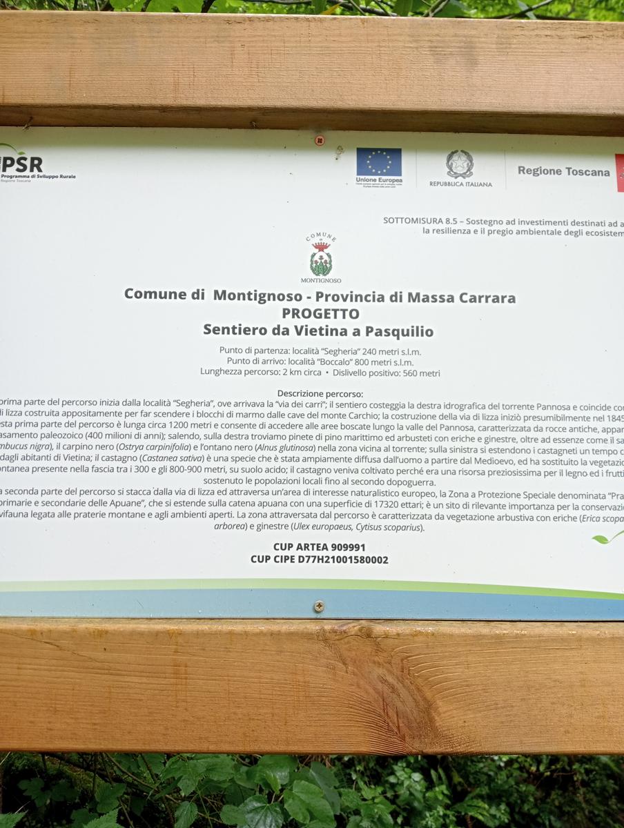 Monte Folgorito, Passo della Cardella e Monte Focoraccia da Vietina - foto 7