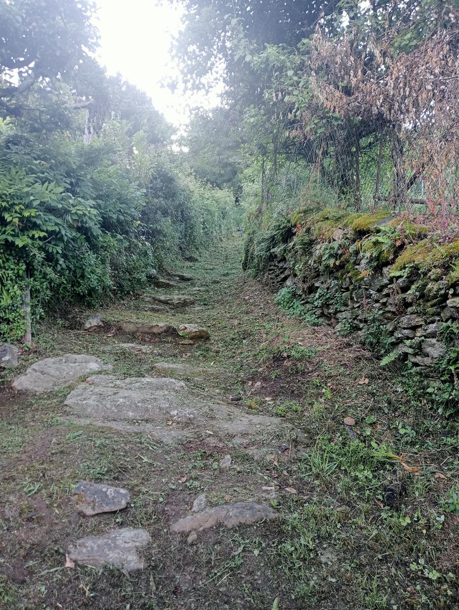 Monte Folgorito, Passo della Cardella e Monte Focoraccia da Vietina - foto 8