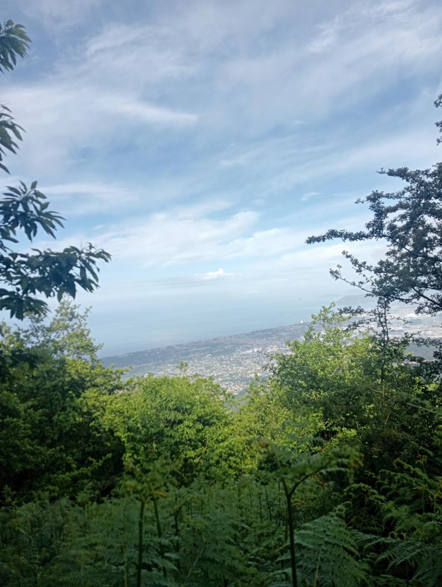 Monte Folgorito, Passo della Cardella e Monte Focoraccia da Vietina - foto 9