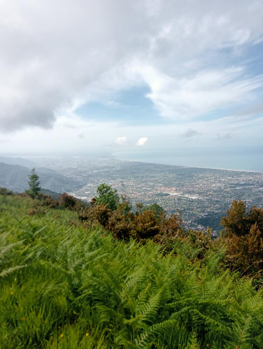 Monte Folgorito, Passo della Cardella e Monte Focoraccia da Vietina - foto 10