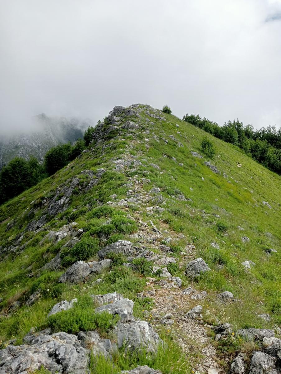 Monte Folgorito, Passo della Cardella e Monte Focoraccia da Vietina - foto 13