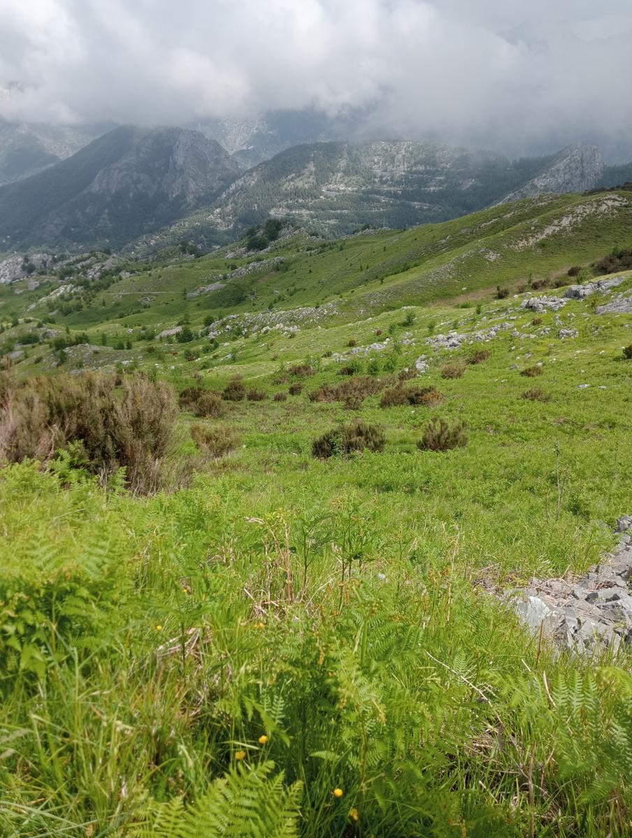 Monte Folgorito, Passo della Cardella e Monte Focoraccia da Vietina - foto 15