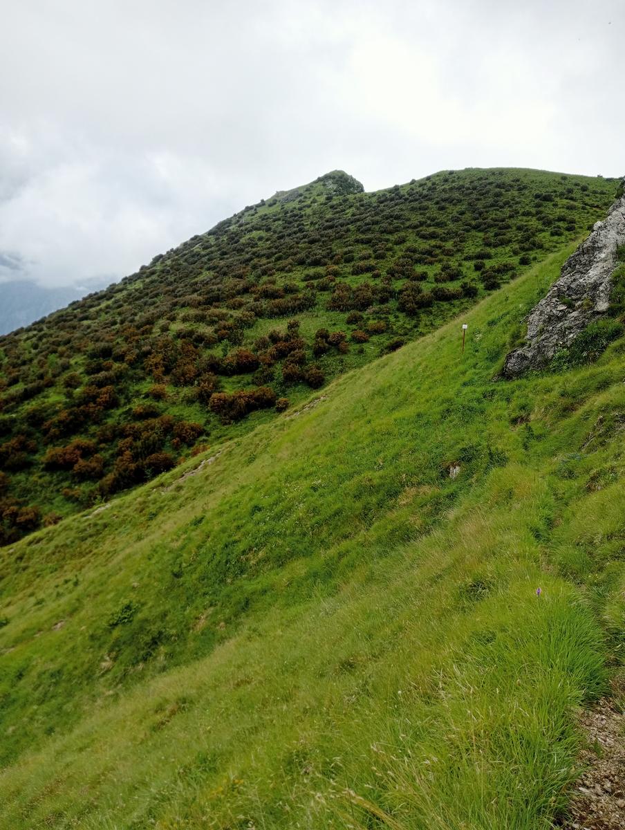 Monte Folgorito, Passo della Cardella e Monte Focoraccia da Vietina - foto 16