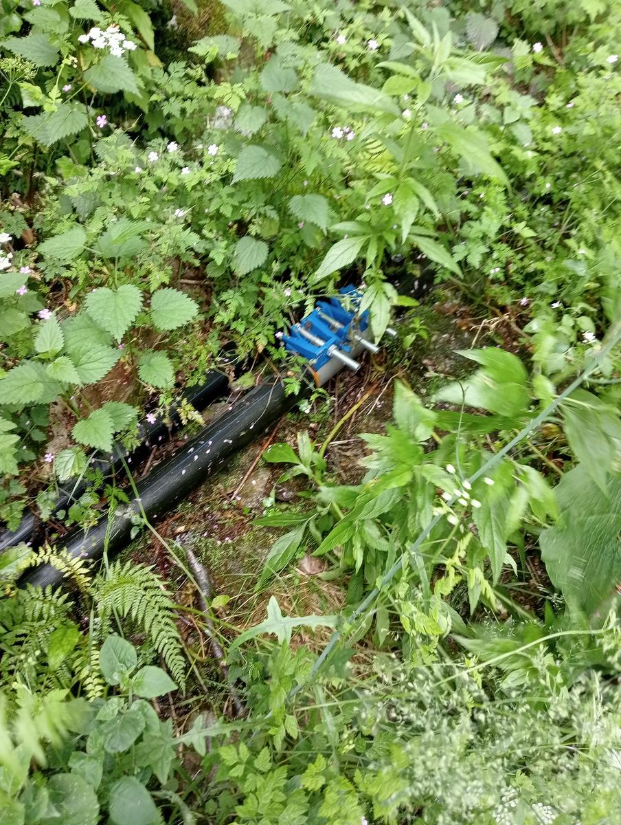 Monte Folgorito, Passo della Cardella e Monte Focoraccia da Vietina - foto 19