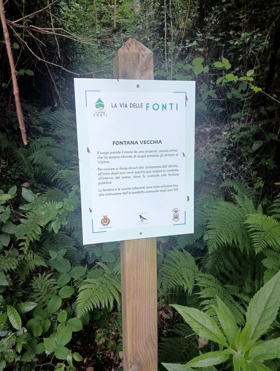 Monte Folgorito, Passo della Cardella e Monte Focoraccia da Vietina - foto 21