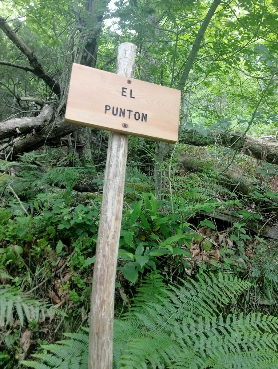 Monte Folgorito, Passo della Cardella e Monte Focoraccia da Vietina - foto 23