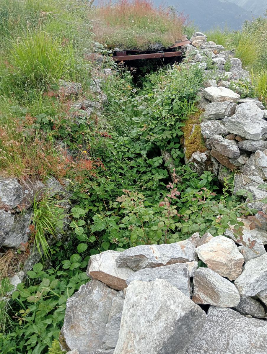 Monte Folgorito, Passo della Cardella e Monte Focoraccia da Vietina - foto 25