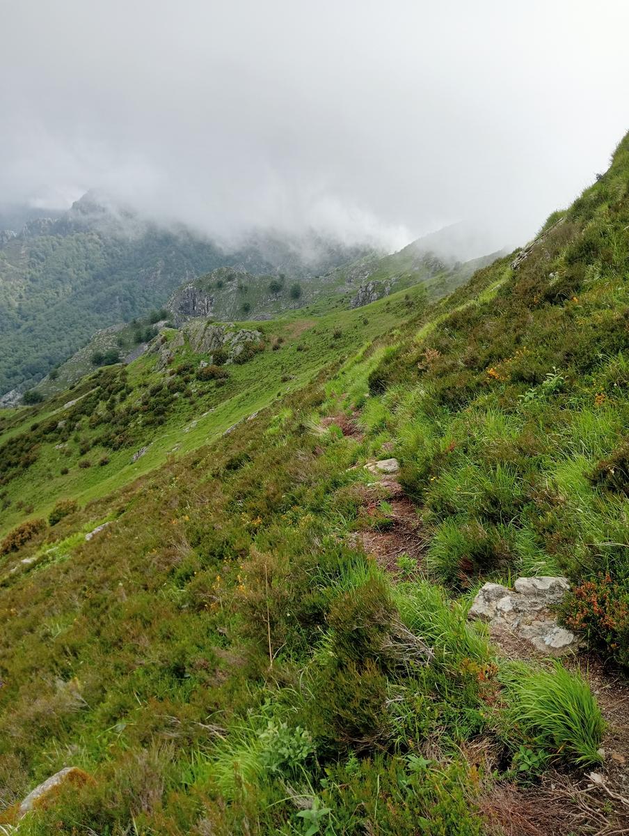 Monte Folgorito, Passo della Cardella e Monte Focoraccia da Vietina - foto 27