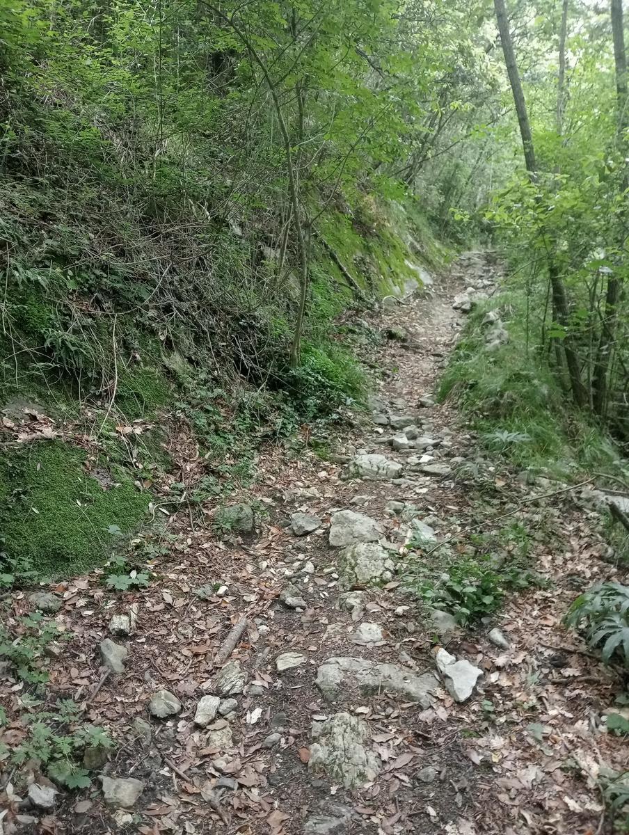 Castagno del Diavolo, Monte Palodina e Monte Penna da Cardoso