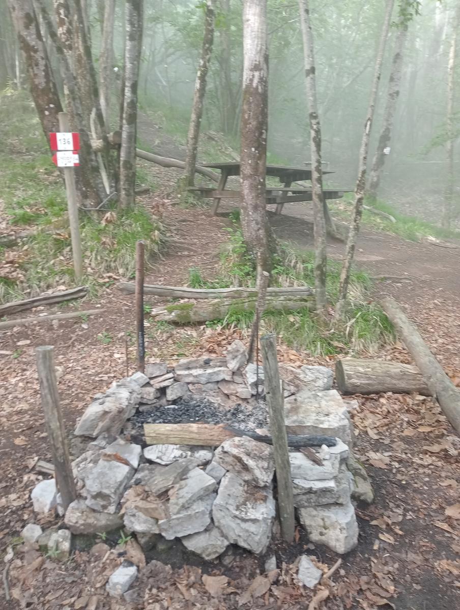 Castagno del Diavolo, Monte Palodina e Monte Penna da Cardoso - foto 4